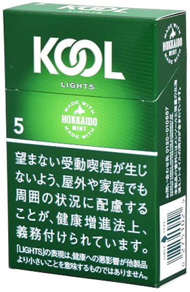 画像1: クール・ライト・ボックス1カートン（10個入） (1)